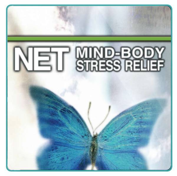 Neuro Emotional Technique (NET) session at Lifetime Chiro